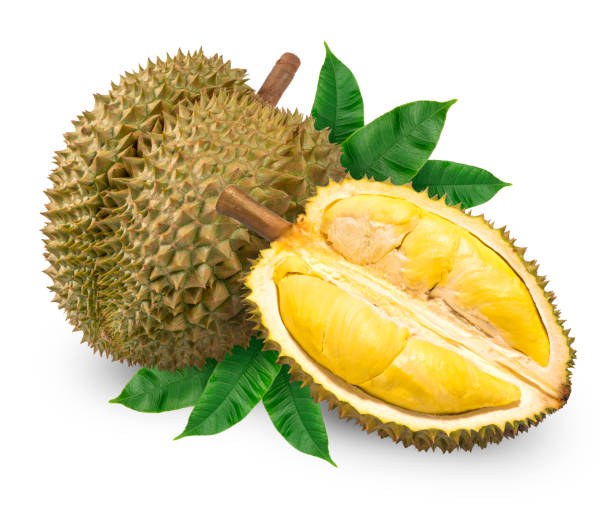 Durian Whole Each