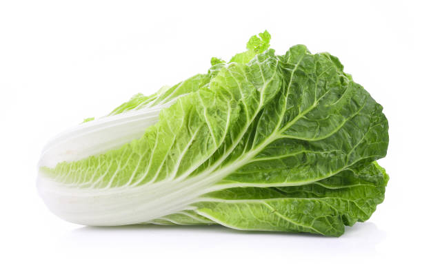 Cabbage Chinese Wombok Whole Each