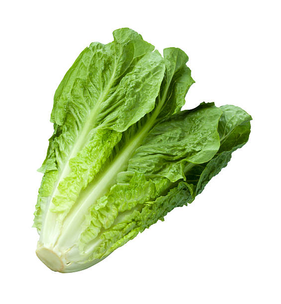 Cos lettuce Each