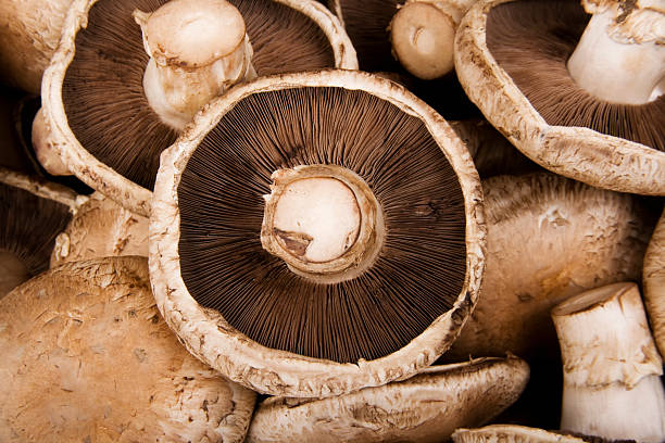 Mushrooms Portbello 1kg