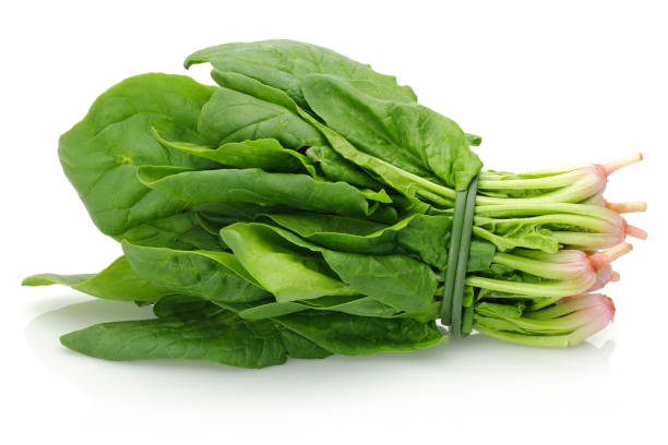 Spinach English Bunch
